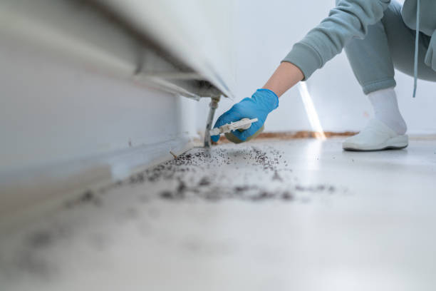 Professional Pest Control in Douglas, WY